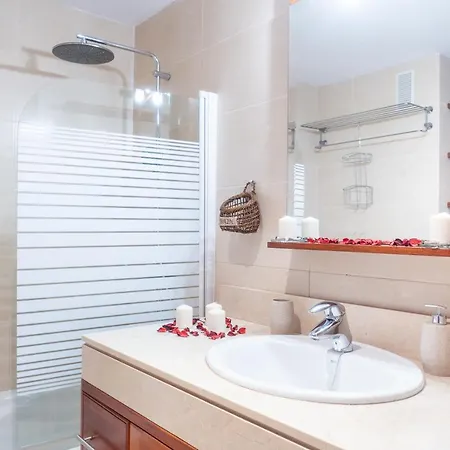 Lejlighed Belvedere Penthouse